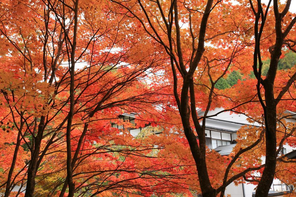 Nukumorino-Yado Komanoyu Kiso Extérieur photo