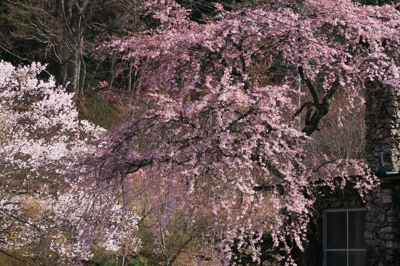 Nukumorino-Yado Komanoyu Kiso Extérieur photo
